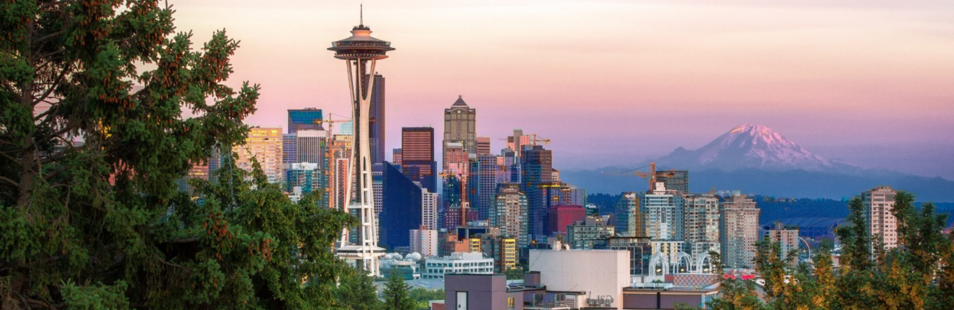 banner1 images